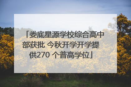 娄底星源学校综合高中部获批 今秋开学开学提供270 个普高学位