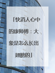 快消人心中的康师傅：大象是怎么长出翅膀的
