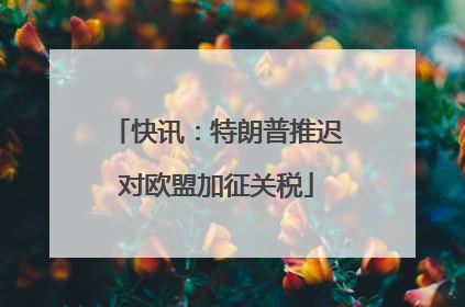 快讯：特朗普推迟对欧盟加征关税