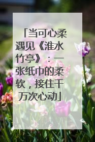 当可心柔遇见《淮水竹亭》：一张纸巾的柔软，接住千万次心动