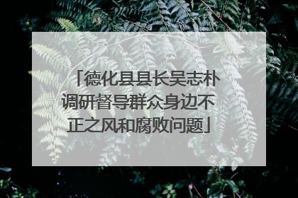 德化县县长吴志朴调研督导群众身边不正之风和腐败问题