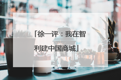 徐一评：我在智利建中国商城