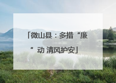 微山县：多措“廉”动 清风护安