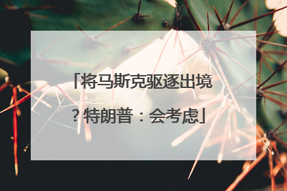 将马斯克驱逐出境？特朗普：会考虑