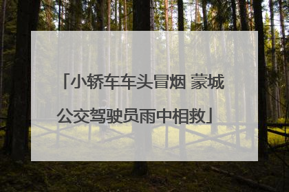 小轿车车头冒烟 蒙城公交驾驶员雨中相救