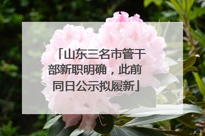 山东三名市管干部新职明确，此前同日公示拟履新