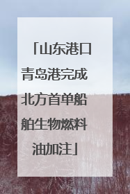 山东港口青岛港完成北方首单船舶生物燃料油加注