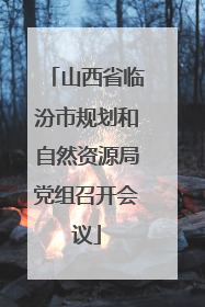 山西省临汾市规划和自然资源局党组召开会议