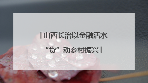 山西长治以金融活水“贷”动乡村振兴