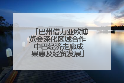 巴州借力亚欧博览会深化区域合作 中巴经济走廊成果惠及经贸发展