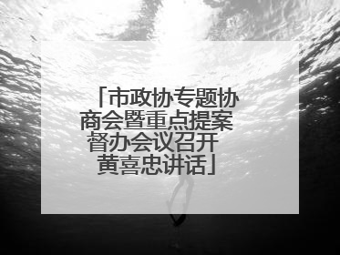 市政协专题协商会暨重点提案督办会议召开 黄喜忠讲话