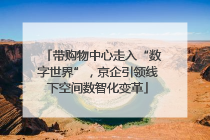 带购物中心走入“数字世界”，京企引领线下空间数智化变革