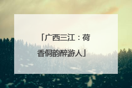 广西三江：荷香侗韵醉游人