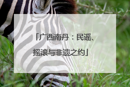 广西南丹：民谣、摇滚与非遗之约