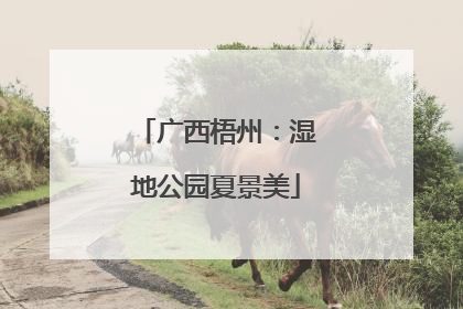 广西梧州：湿地公园夏景美