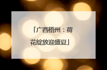 广西梧州：荷花绽放迎盛夏