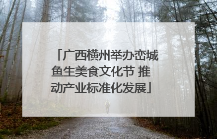 广西横州举办峦城鱼生美食文化节 推动产业标准化发展