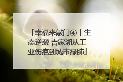 幸福来敲门④丨生态逆袭 吉家湖从工业伤疤到城市绿肺