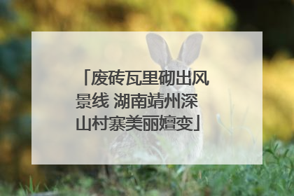 废砖瓦里砌出风景线 湖南靖州深山村寨美丽嬗变
