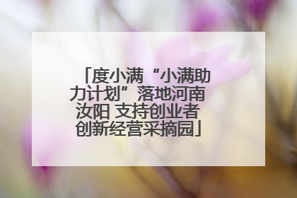 度小满“小满助力计划”落地河南汝阳 支持创业者创新经营采摘园