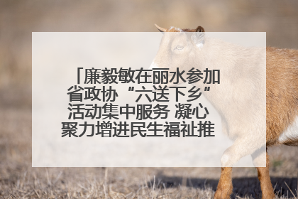 廉毅敏在丽水参加省政协“六送下乡”活动集中服务 凝心聚力增进民生福祉推进共同富裕