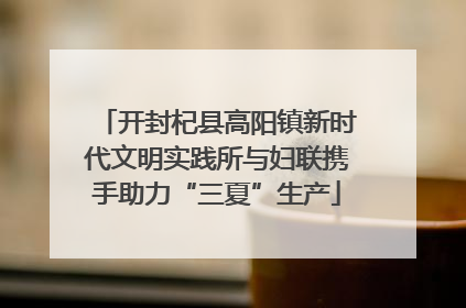 开封杞县高阳镇新时代文明实践所与妇联携手助力“三夏”生产