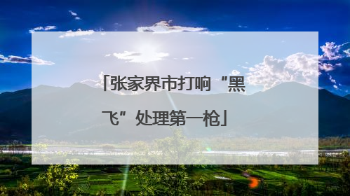 张家界市打响“黑飞”处理第一枪