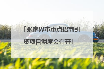 张家界市重点招商引资项目调度会召开