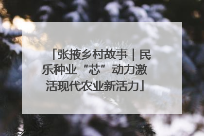 张掖乡村故事｜民乐种业“芯”动力激活现代农业新活力