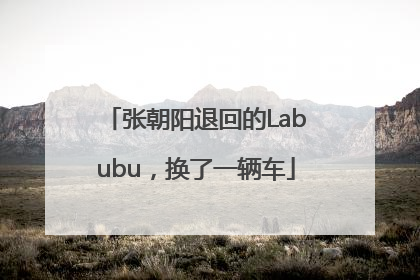 张朝阳退回的Labubu，换了一辆车