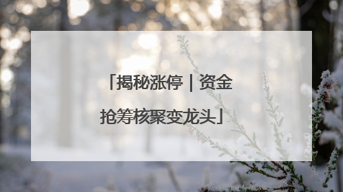 揭秘涨停｜资金抢筹核聚变龙头