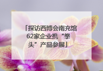 探访西博会南充馆 62家企业携“拳头”产品参展