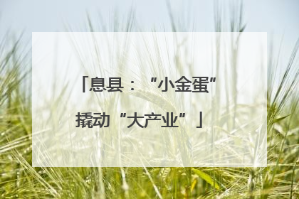 息县：“小金蛋”撬动“大产业”