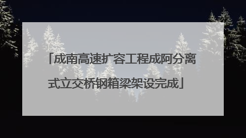 成南高速扩容工程成阿分离式立交桥钢箱梁架设完成