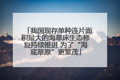 我国现存单种连片面积最大的海草床生态修复持续推进 为了“海底草原”更繁茂