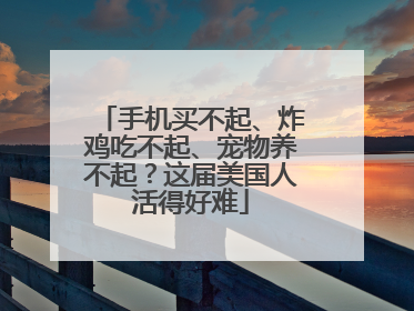 手机买不起、炸鸡吃不起、宠物养不起？这届美国人活得好难
