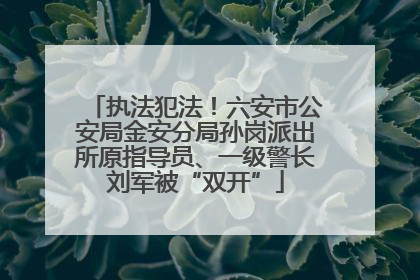 执法犯法！六安市公安局金安分局孙岗派出所原指导员、一级警长刘军被“双开”