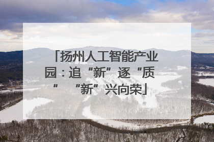 扬州人工智能产业园：追“新”逐“质” “新”兴向荣