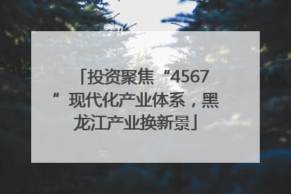 投资聚焦“4567”现代化产业体系，黑龙江产业换新景
