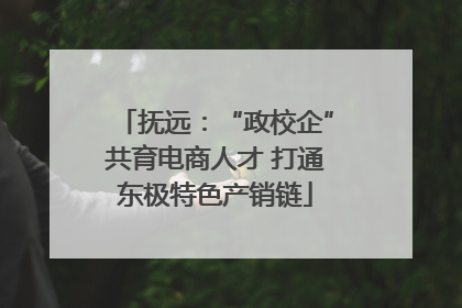 抚远：“政校企”共育电商人才 打通东极特色产销链