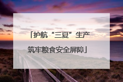 护航“三夏”生产 筑牢粮食安全屏障