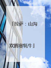 拉萨：山沟欢腾赛牦牛