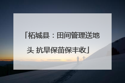 柘城县：田间管理送地头 抗旱保苗保丰收