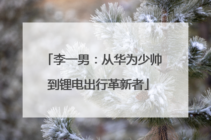 李一男：从华为少帅到锂电出行革新者
