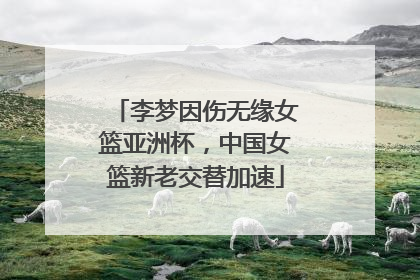 李梦因伤无缘女篮亚洲杯，中国女篮新老交替加速