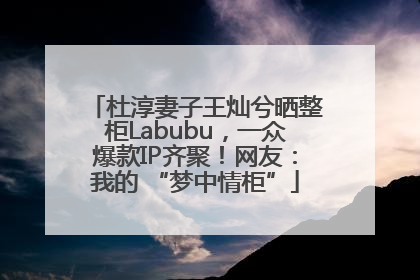 杜淳妻子王灿兮晒整柜Labubu，一众爆款IP齐聚！网友：我的 “梦中情柜”