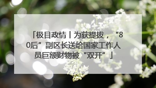 极目政情丨为获提拔，“80后”副区长送给国家工作人员巨额财物被“双开”