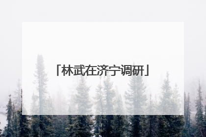 林武在济宁调研