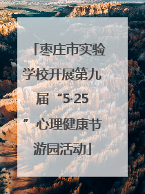 枣庄市实验学校开展第九届“5·25”心理健康节游园活动
