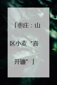 枣庄：山区小麦“喜开镰”